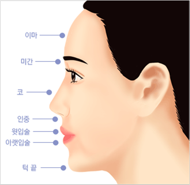 센트럴성형외과 